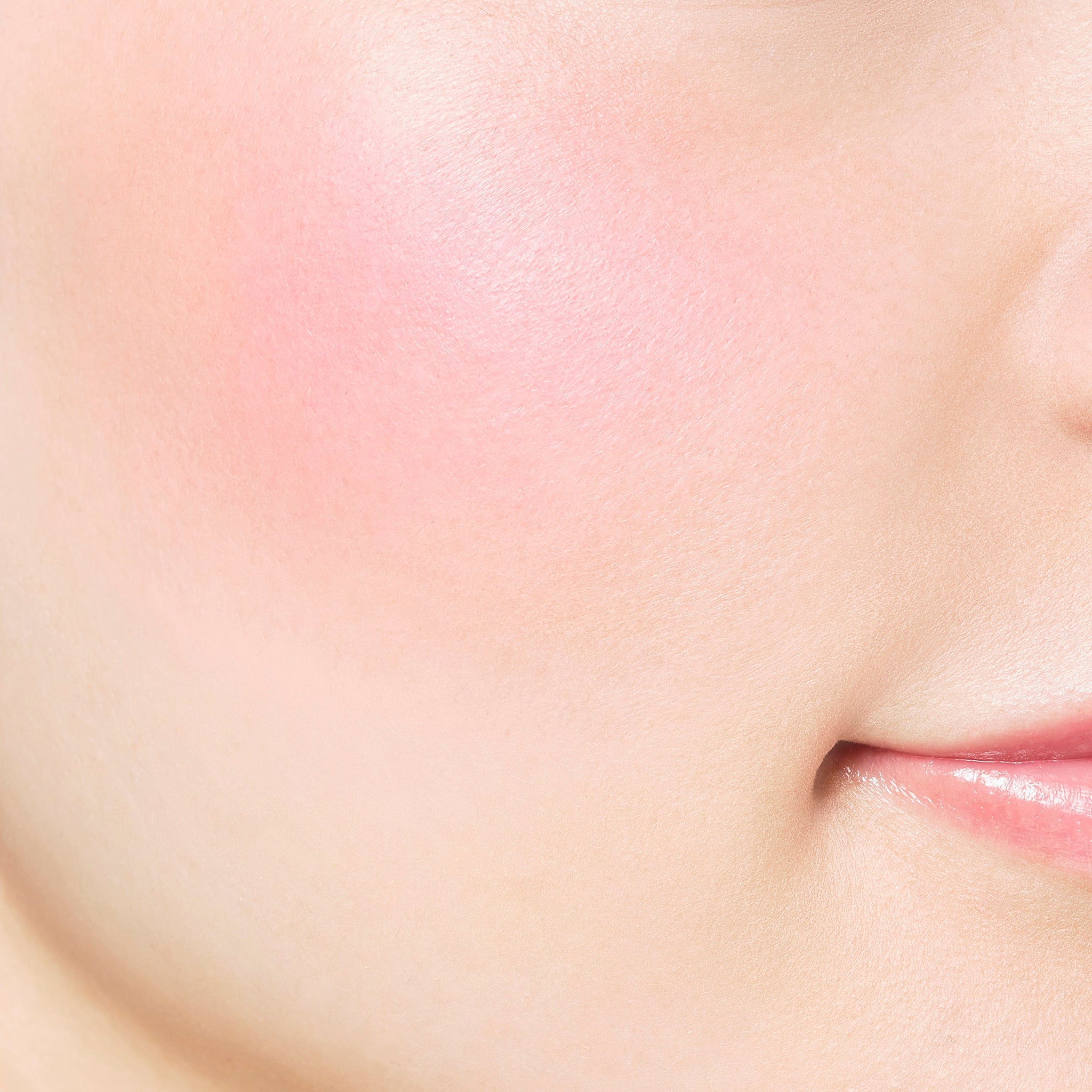 PAUL & JOE Visage Recharge blush 05 old rose