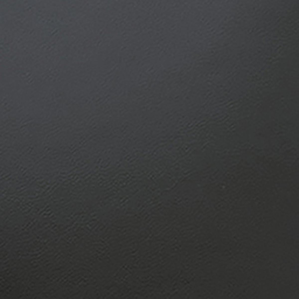 Isabel Marant Oskan Moon PP0003FA sac cuir noir clouté