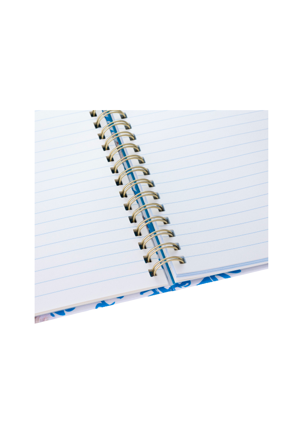 Paul & Joe Papeterie Carnet A5 Gipsy spirales motif chat