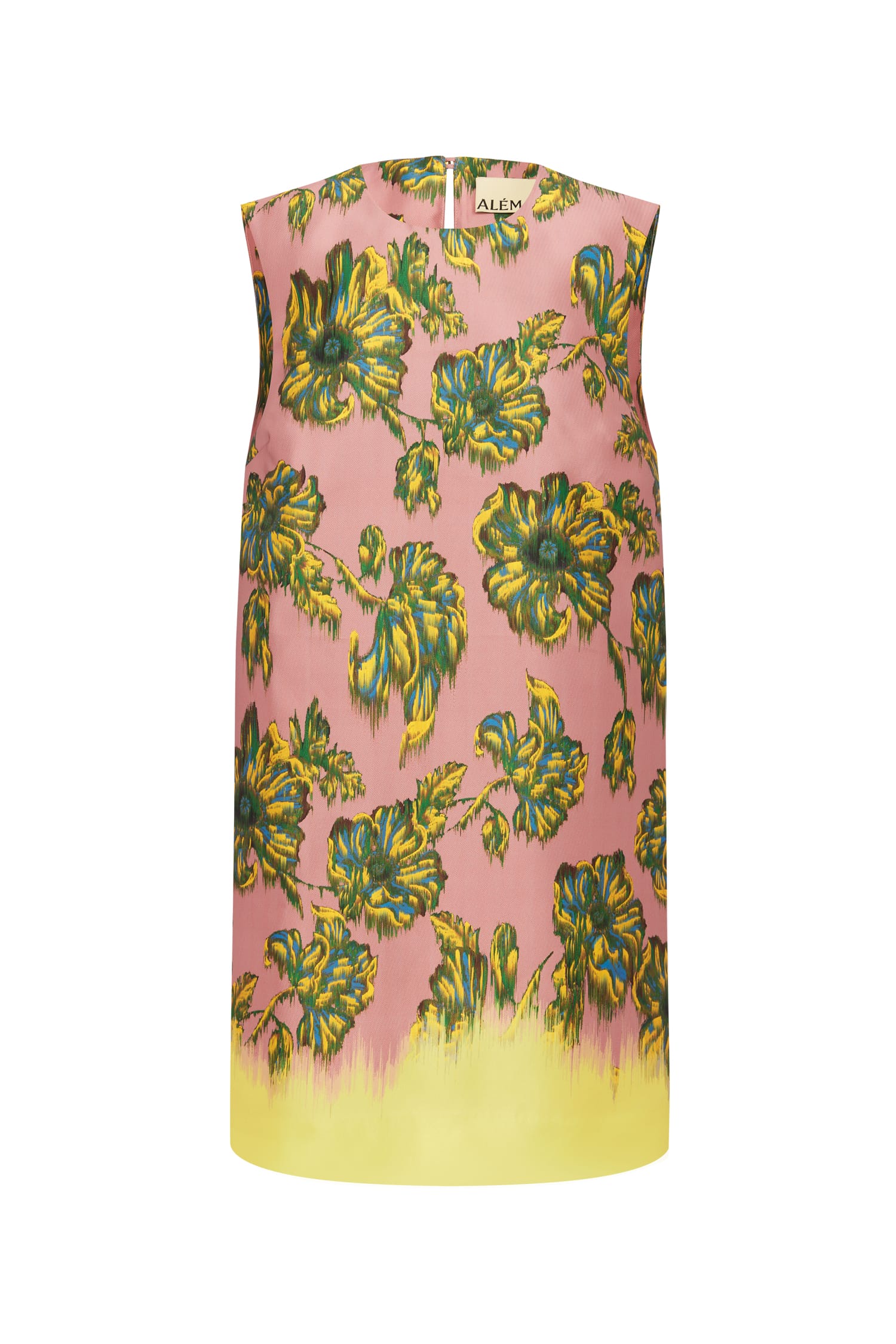 Alémais Faye Mini robe mini fleurie sans manches