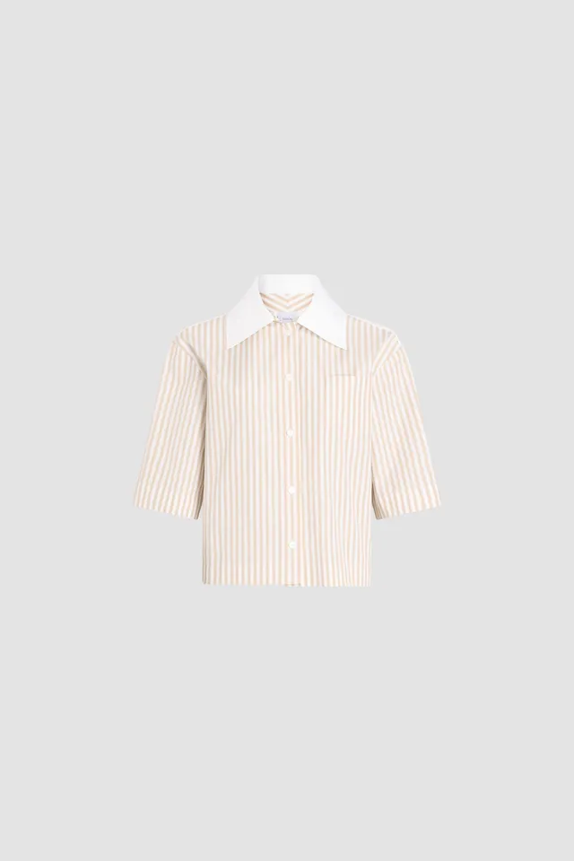 Patou BL055 chemise Dolce Coffee rayures coton bio